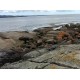 Australia - dron - nature - mountains - ocean - forest - beach - coast