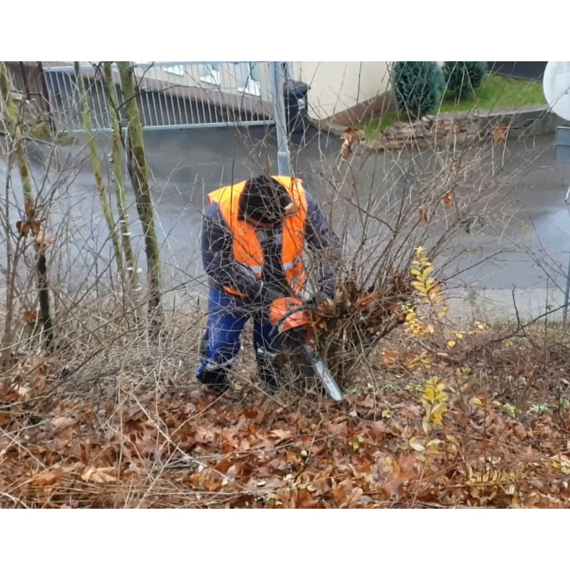CZ - people - community work - unemployed - cleaning - sweeping - raking - cutting - garbage
