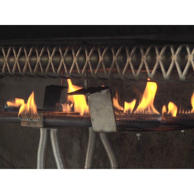 USA - Florida - people - cook - grill - barbecue - meat - fire - steak - spice