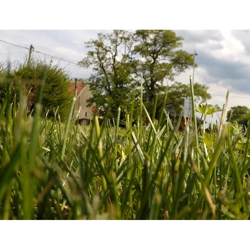 ČR - města - Velké Přítočno - dron - letecké záběry - vesnice