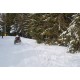 CZ - nature - Klínovec - mountains - snow - motor - scooter
