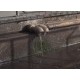 ČR - průmysl - odpadní voda - čistička odpadních vod - ČOV - kal - nádrž - znečištění