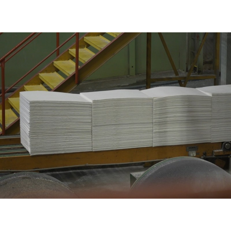 CZ - industry - BIOCEL - Paskov - paper mill - factory - grafting - smokestack - belt feeder