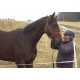 CZ - sport - jockey - Josef Váňa - horse - rider - paddock
