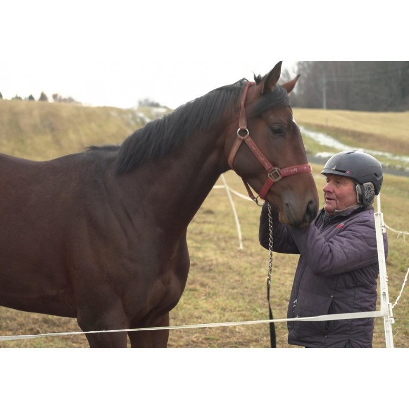 CZ - sport - jockey - Josef Váňa - horse - rider - paddock