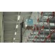 CZ - industry - food - radioshuttle - forklift - truck - warehouse - shelves - automation