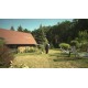 CZ - nature - garden - cottage - tree - cutting - firewood - chainsaw - water - tomato