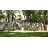 CZ - Prague Žižkov - jewish cemetery - volunteer - headstone - rake - cutting - cleaning - brush cutter