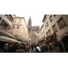 France - Strasbourg - city - world - Christmas - decoration - teddy bear - tree