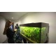  CZ - people - aquarium - feeding - fish - play darts