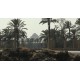 Egypt - Cairo - City