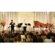 ČR - kultura - Lednice - Lednicko-valtický festival - koncert - orchestr - lesní roh - housle