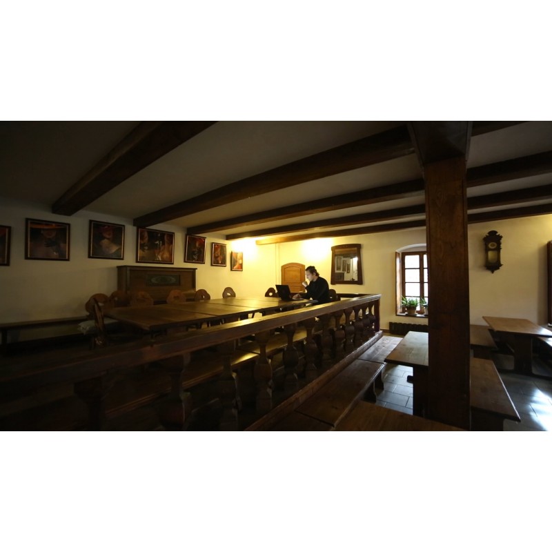 CZ - business - Ostrov nad Ohří - mill - restaurant - pub - mill wheel - river