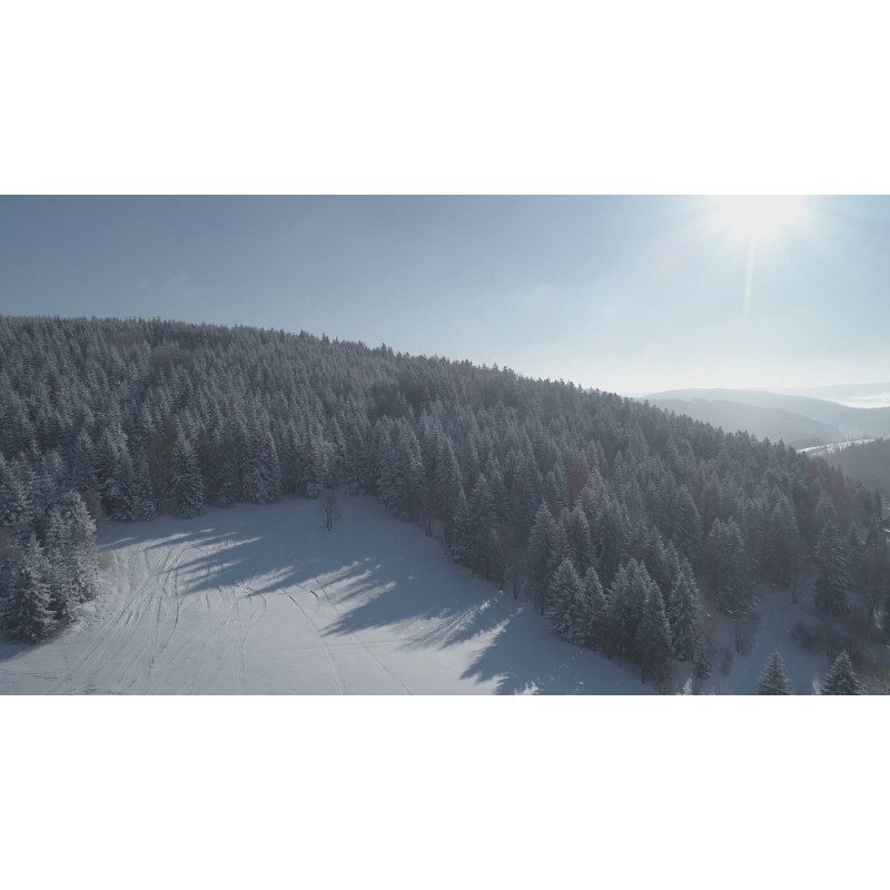 CZ - mountains - winter - snow - ice - tree - dron