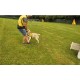 CZ - Prague - Helppes - charity - dog - horse - hen - assistance dog - schooling