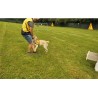 CZ - Prague - Helppes - charity - dog - horse - hen - assistance dog - schooling