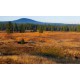 CR - Krušné Mountains