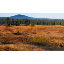 CR - Krušné Mountains
