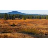 CR - Krušné Mountains