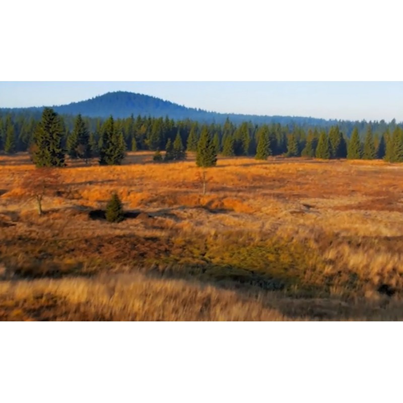 CR - Krušné Mountains