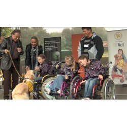 CR - Music - Karel Gott - Miroslav Žbirka - Guide Dogs