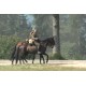 CR - Germany - 2nd World War - Battle Reconstruction