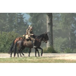 CR - Germany - 2nd World War - Battle Reconstruction