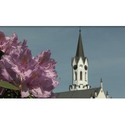 CR - Spring - Park - Spa