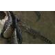 CR - Crocodile Farm - Crocodile Meat