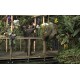CR - Prague - Greenhouse - FataMorgana - Orchids