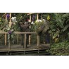 CR - Prague - Greenhouse - FataMorgana - Orchids