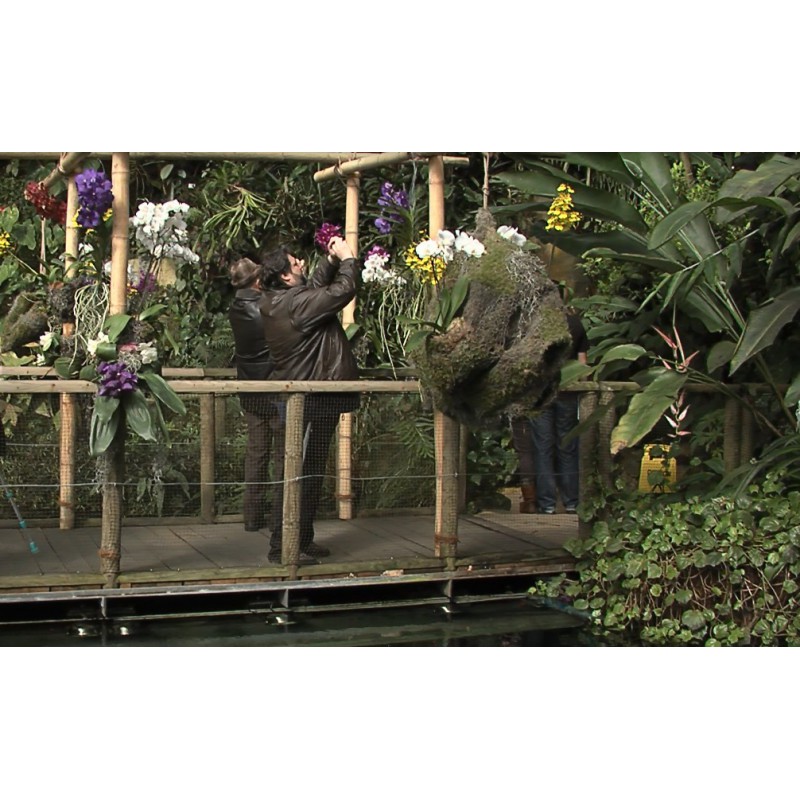 ČR - Praha - skleník - FataMorgana - orchideje