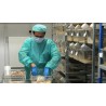 Germany - animals - animal testing - scientists - laboratories