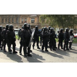  CR - Brno - Gypsy - protest - neo-nazi