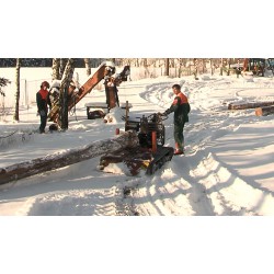 CR - Vysočina region - wood mining - wood manufacturing