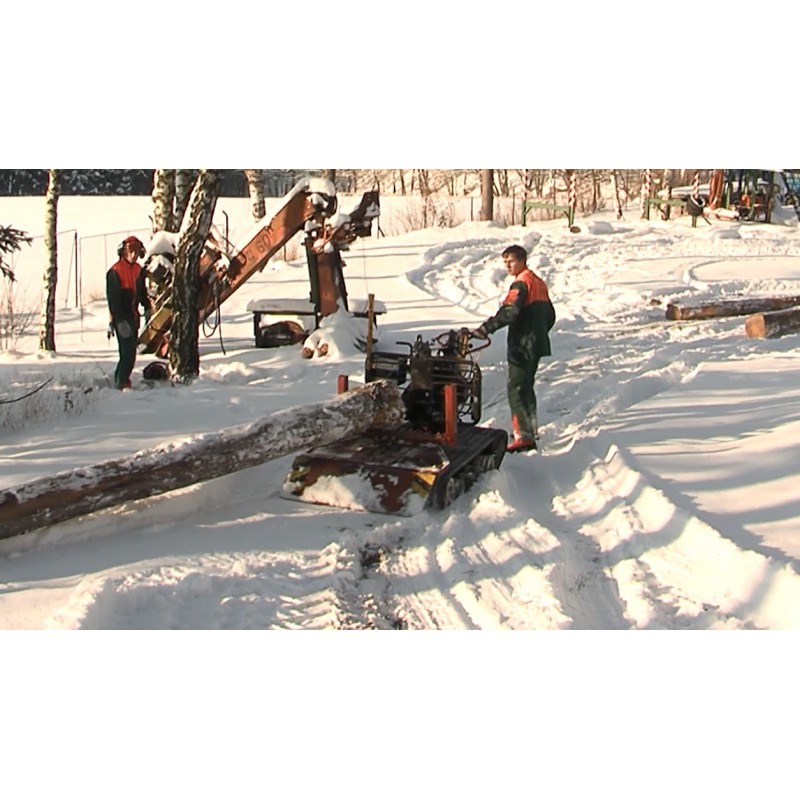 CR - Vysočina region - wood mining - wood manufacturing