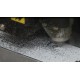 CR - industry - engraving