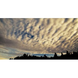 cr - night sky - getting dark - sunrise - time lapse 30000x faster