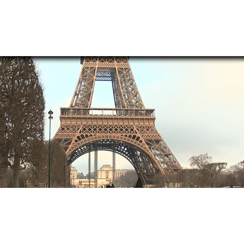 France - Paris - Eiffel tower - tourists