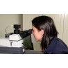 CR - science - woman - microscope