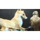 CR - nature - animals - stuffed animals