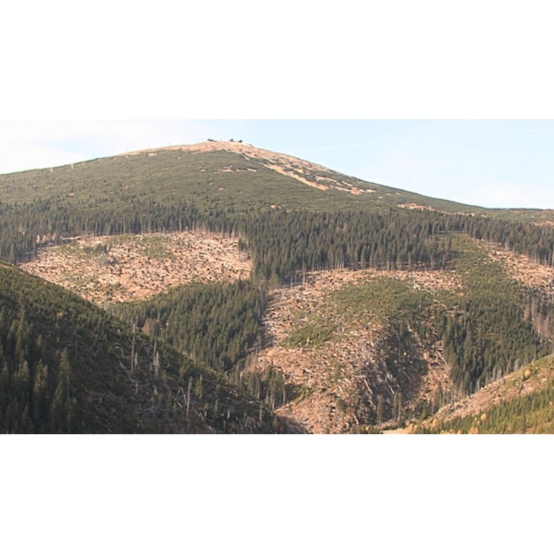  ČR - Krkonoše - příroda - lesy - 1