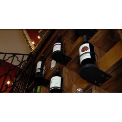 CR - Prague - wine-growing - wines