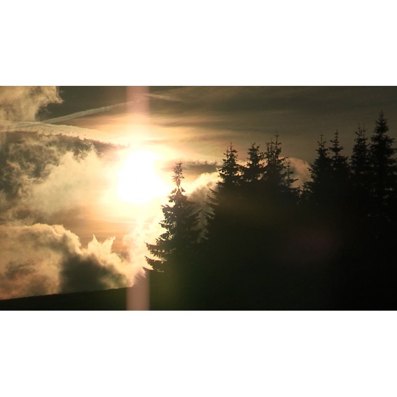 CR - nature - forest - sky - time-lapse - 1 - original length