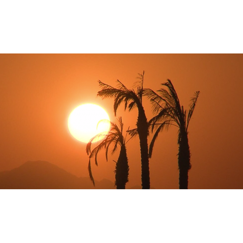 Afrika - západ slunce - palma - originální délka