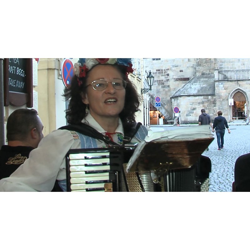 ČR - Praha - zábava - harmonika