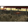 CR - agriculture - buildings - hay shed - hay
